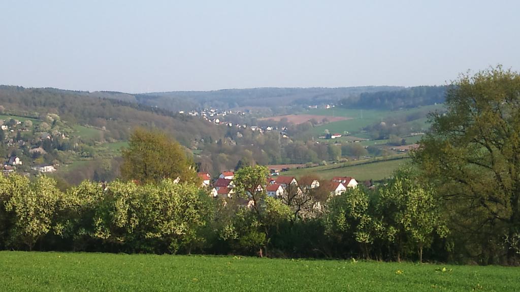 Gasthof Und Pension Frankenthal - Garni Gera Buitenkant foto