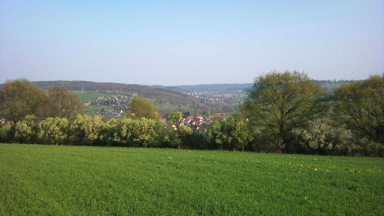 Gasthof Und Pension Frankenthal - Garni Gera Buitenkant foto